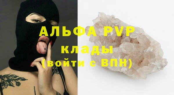 индика Абинск