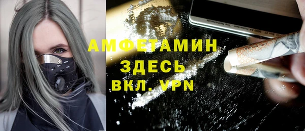 индика Абинск