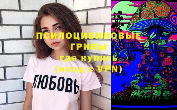 индика Абинск