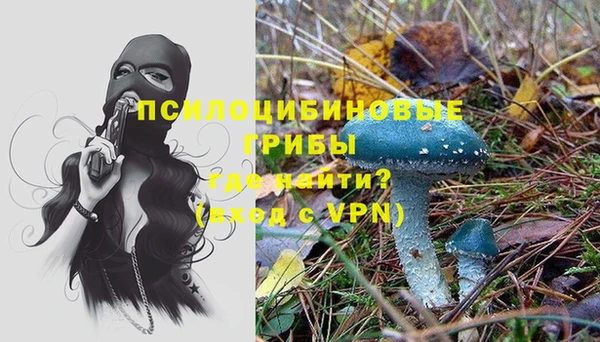 индика Абинск