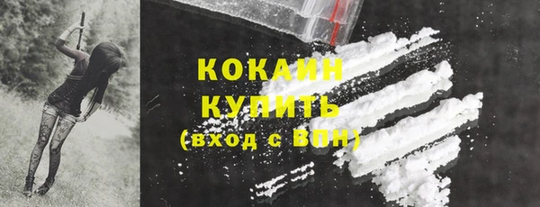 индика Абинск
